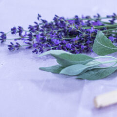 ハーブ蒸留ってどういうこと？